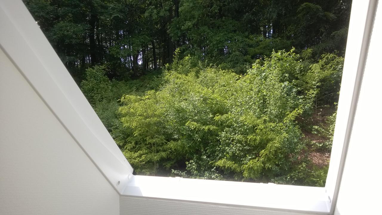 Moselundgaard B/B Og Hestehotel Engesvang Exteriör bild